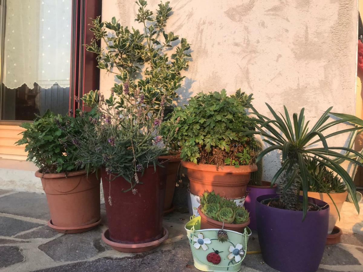 Puffele b&b Enego Exterior foto